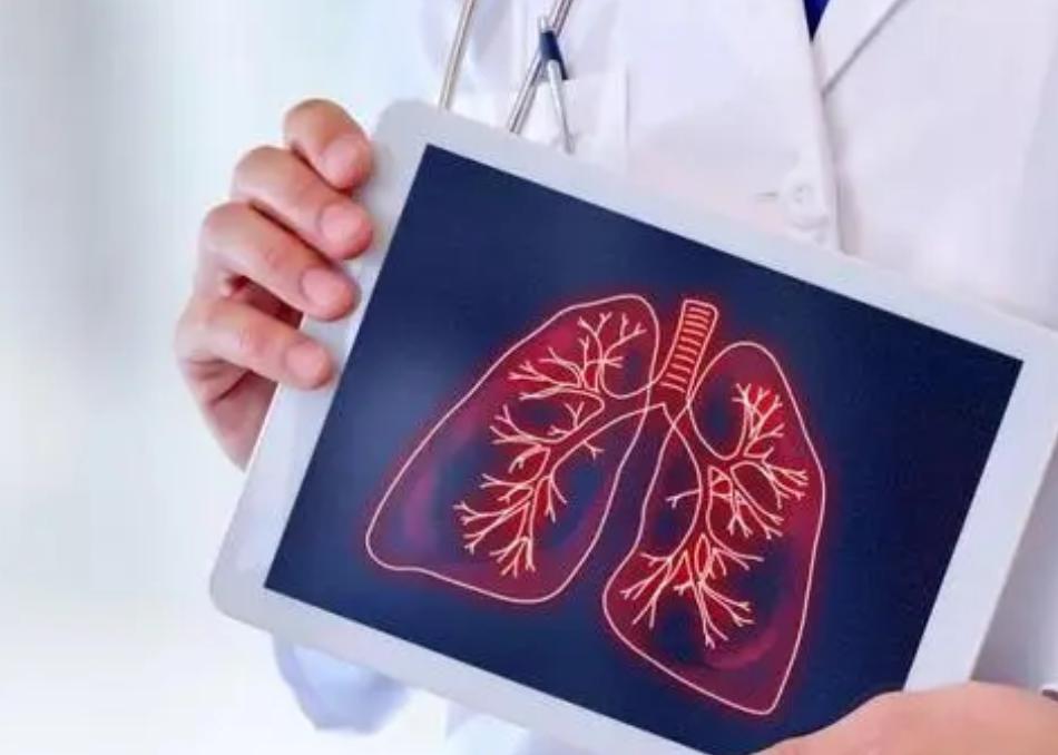 中医学的五脏学说肺,在中医五行中哪种原则是入肺的