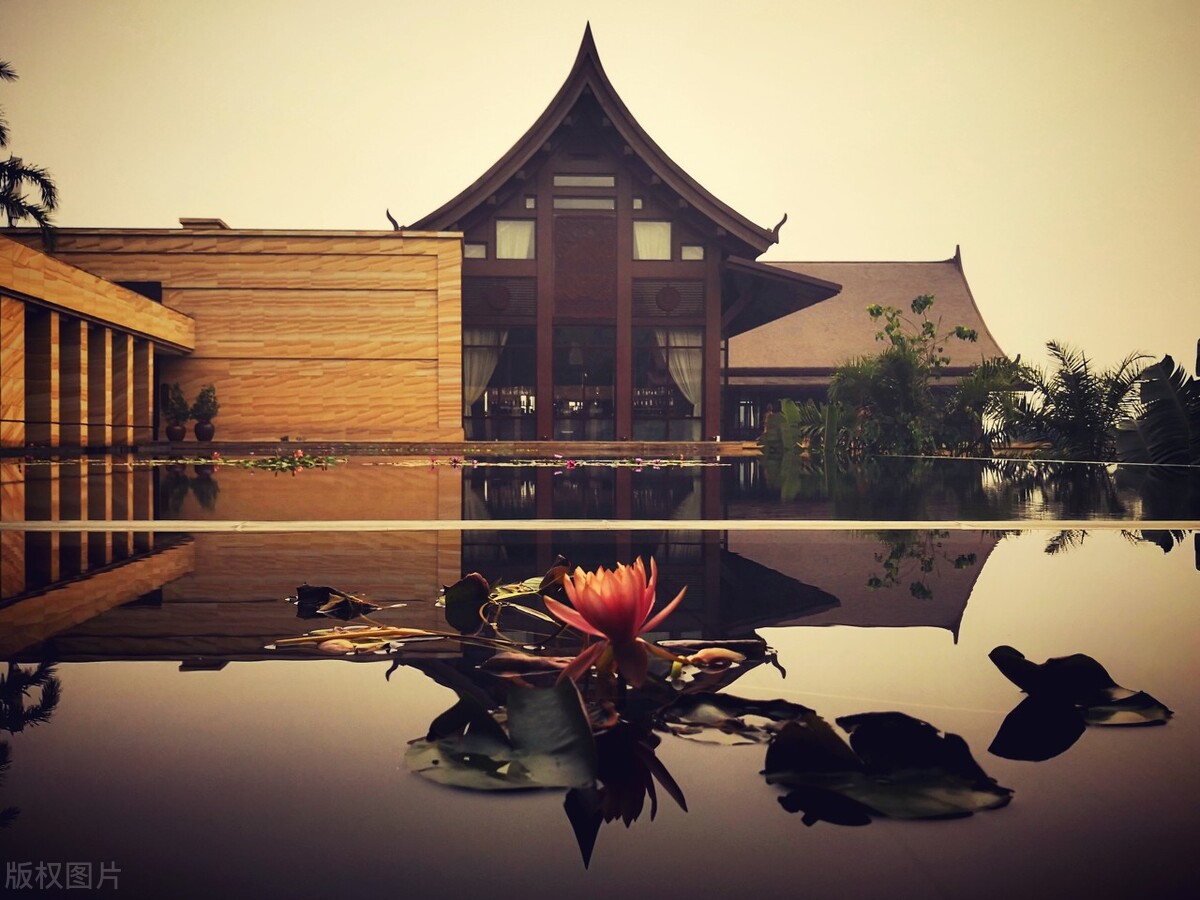 西双版纳避寒避暑的雨林仙境,西双版纳避寒度假