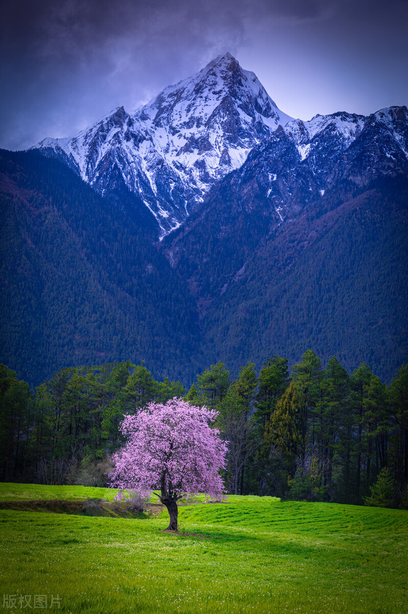 中国景观有多惊艳？这33个，去过一半，此生无憾，你去过哪几个？