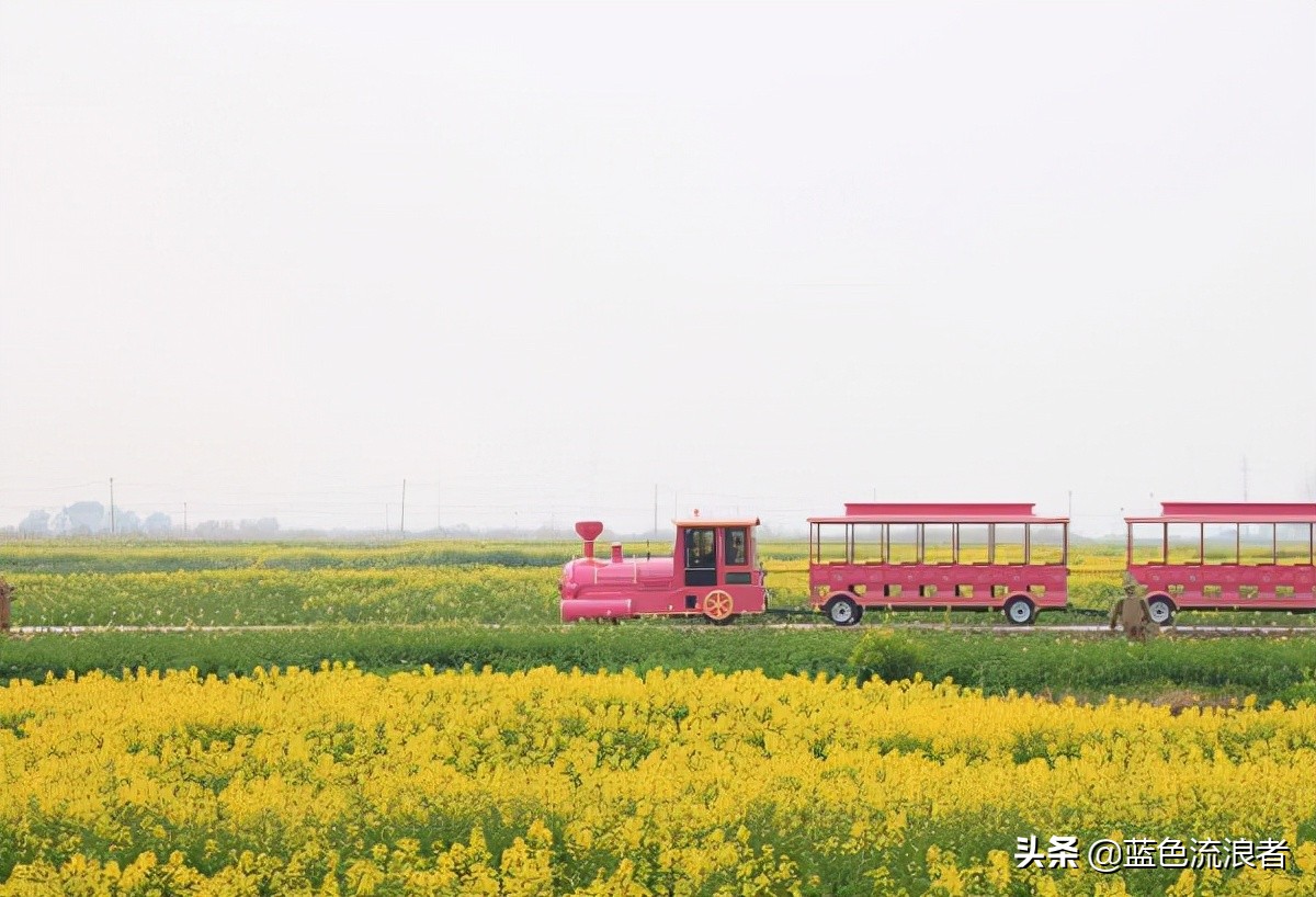 江苏有一个小城,江苏有个小城叫南通