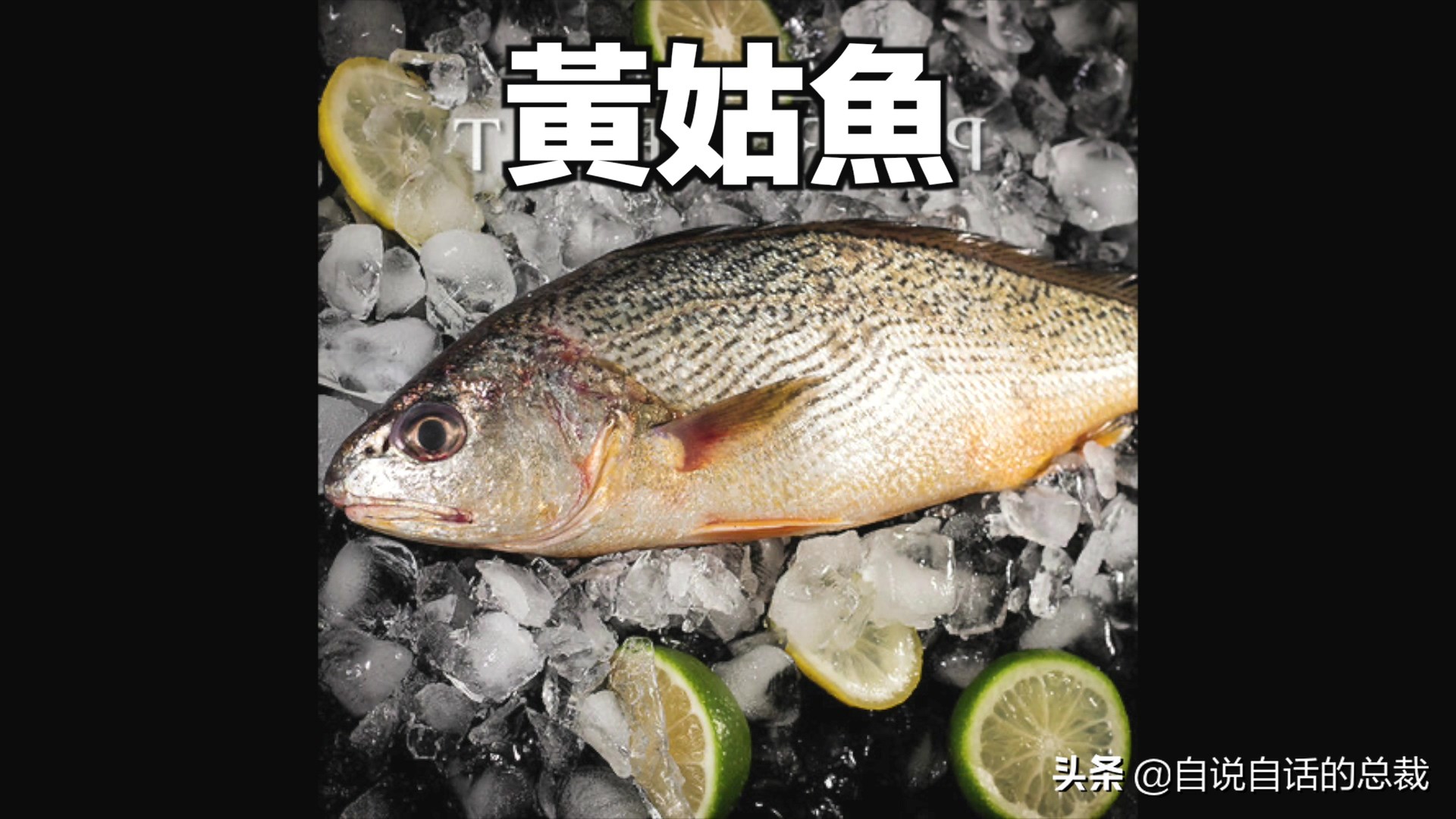 目前野生大黄鱼为什么这么贵,大黄鱼最贵价格多少钱一斤