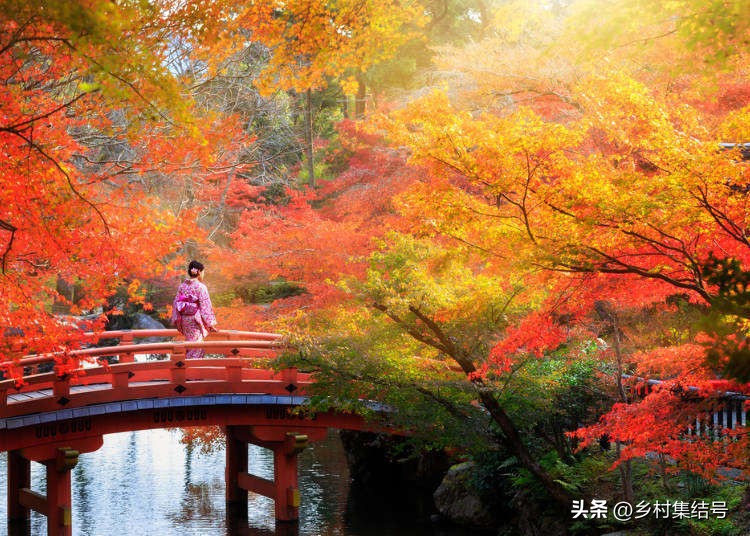 北海道上野农场,日本北海道上野农场