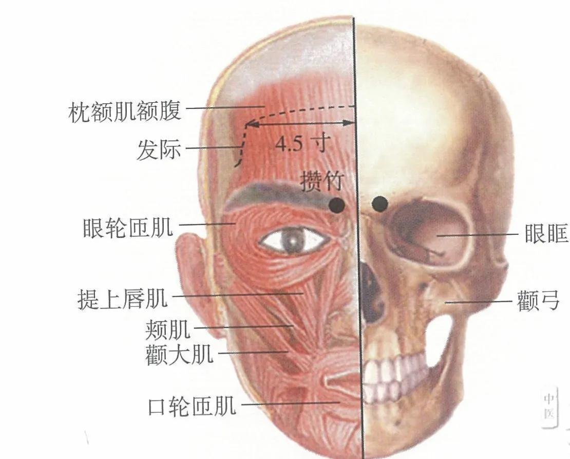 艾灸肺俞治过敏性鼻炎,艾灸治小儿过敏性鼻炎