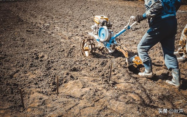 清华、北大遭*制抵**是“阴谋”？看完他们的教授雷人之语你就明白了