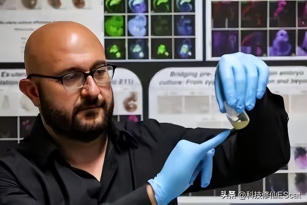 无需精子卵子，子宫，首个人造小鼠胚胎问世！自然繁衍能否淘汰？