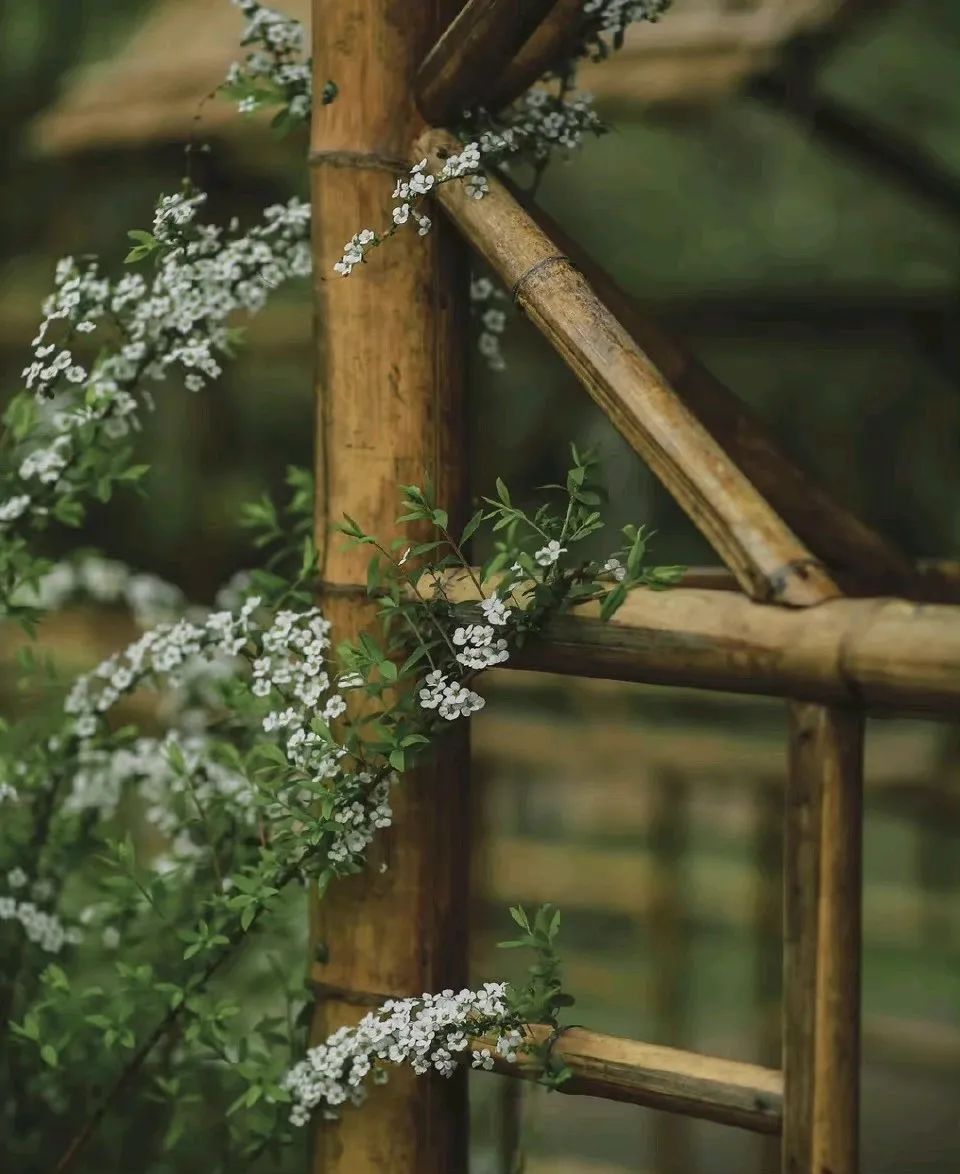 闂插潗绐楀墠鍑爮鍚洦,杞诲嵎鍗婂笜鍊氱獥鍚洦