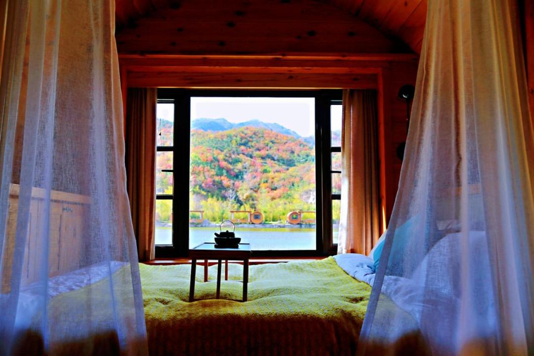 入秋济南好去处,济南秋季看花打卡地