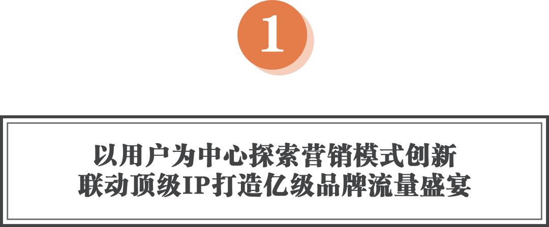 ip打造营销方案,ip营销打造及运营