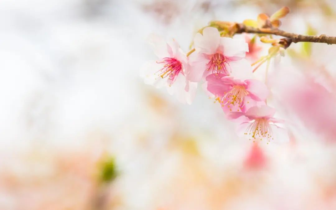 闺蜜适合发的朋友圈简短句子,闺蜜一起最适合发朋友圈的句子