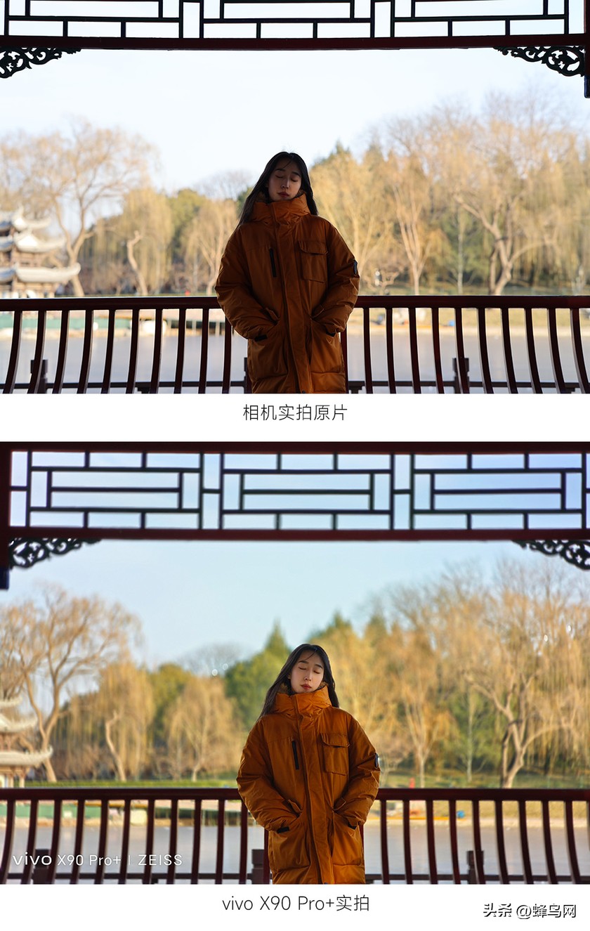 x90pro拍照样张,最新x90pro拍照测评