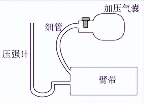 山东省2020高考模拟试题答案,2023春季高考山东真题