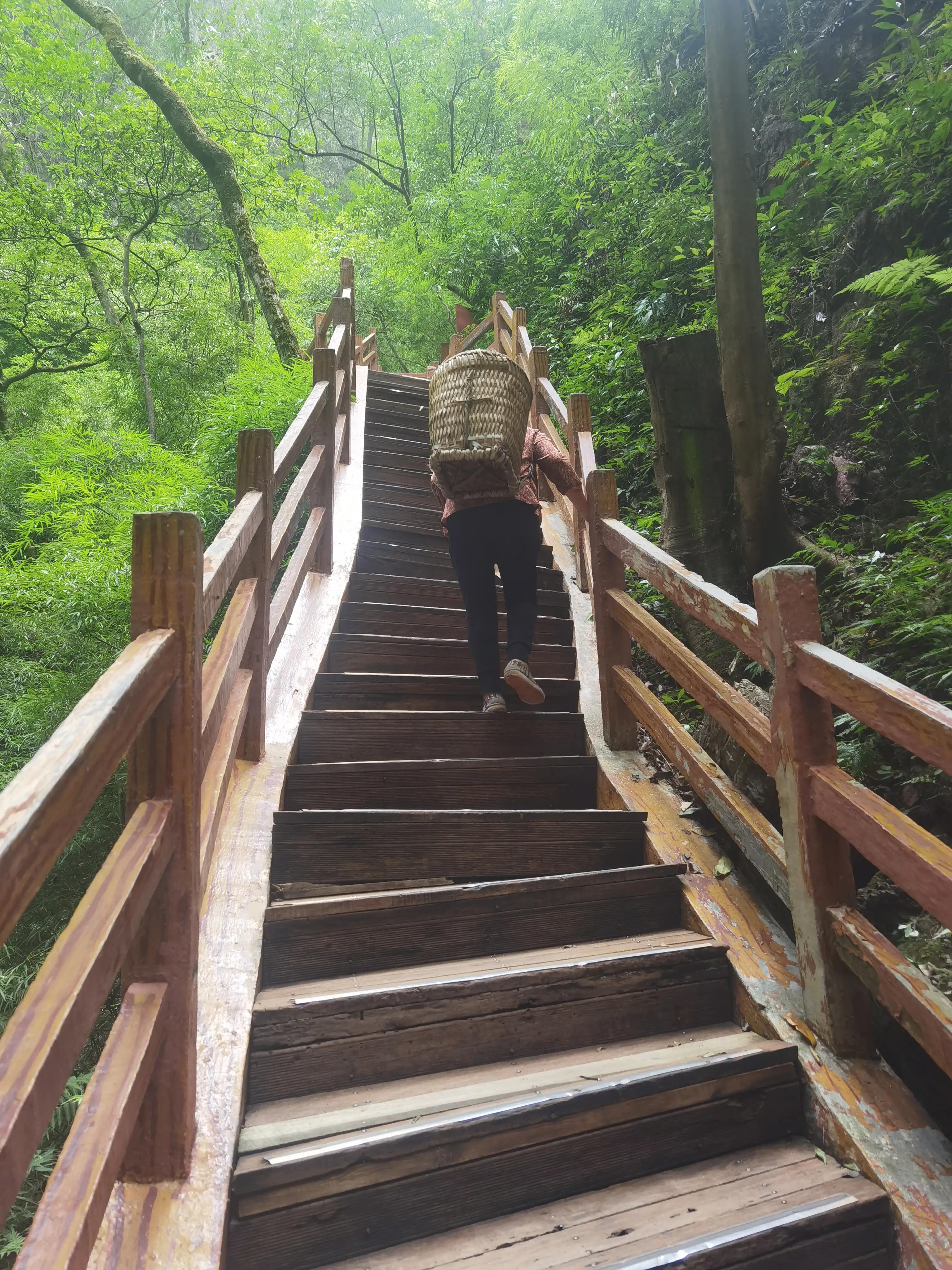 重庆到黑山谷的交通路线,重庆黑山谷旅游攻略美景图片