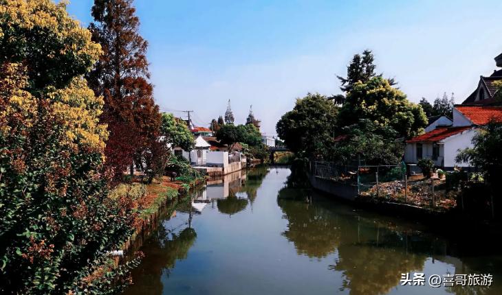 上海金山区旅游景点有哪些,金山区免费旅游景点大全