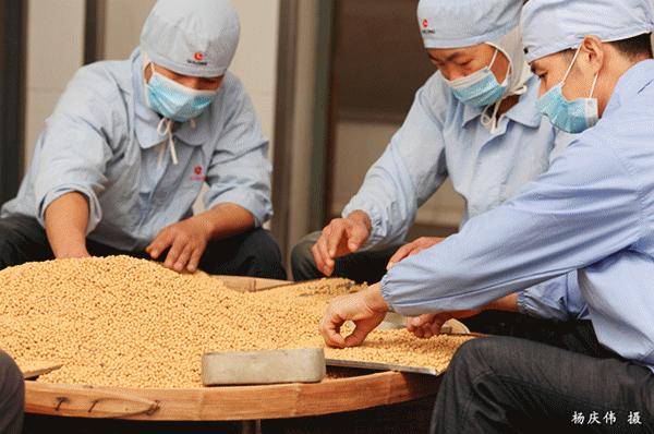 最新厦门游玩攻略,厦门5天新年游玩攻略