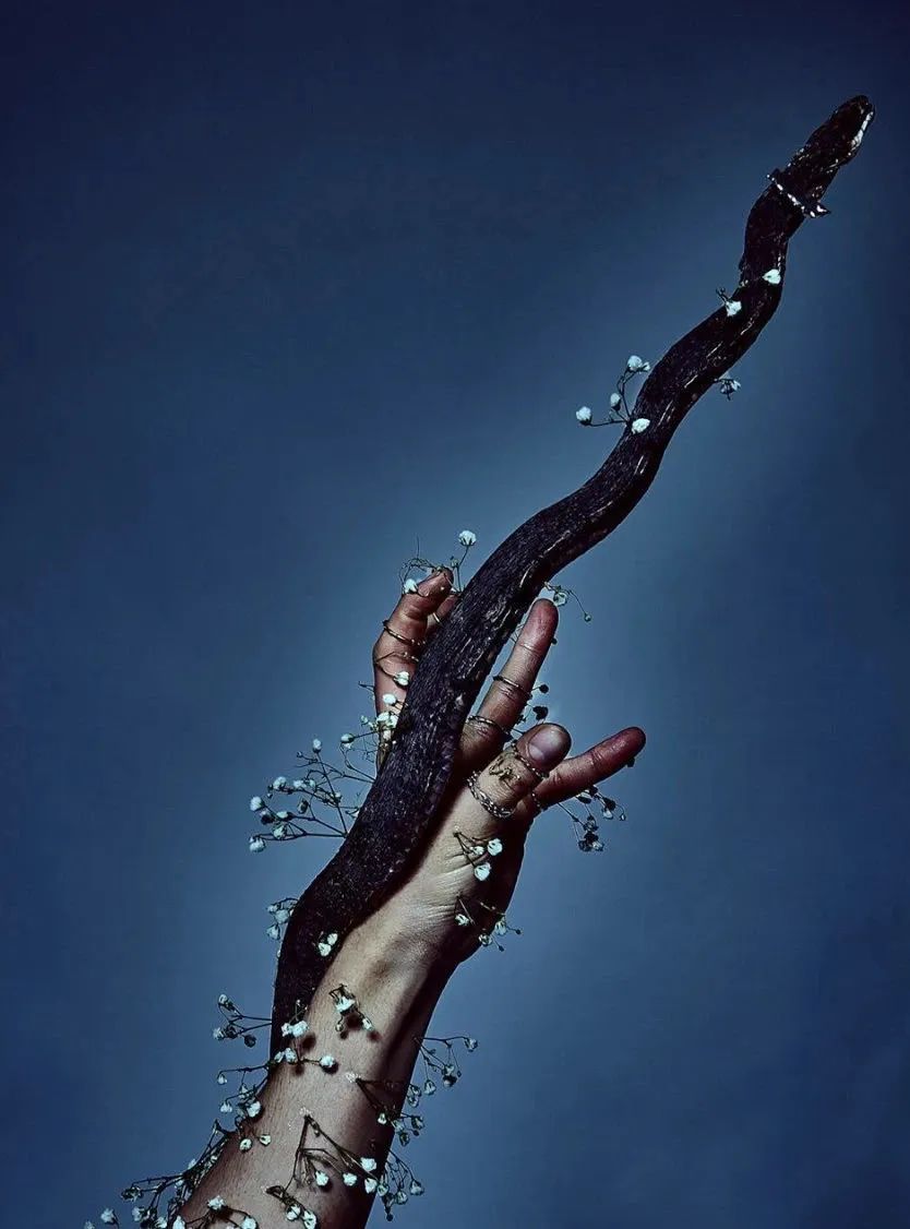 将鲜花封存,变成华服,玩转自然材料的日本设计师