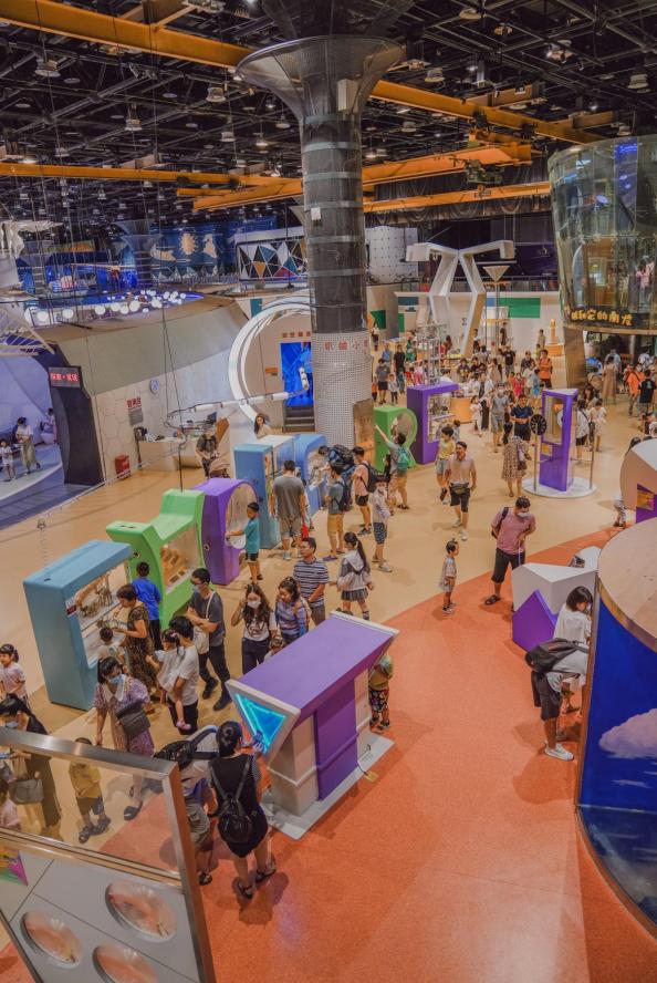 冬天厦门观鸟旅游,厦门大自然小朋友玩的地方推荐