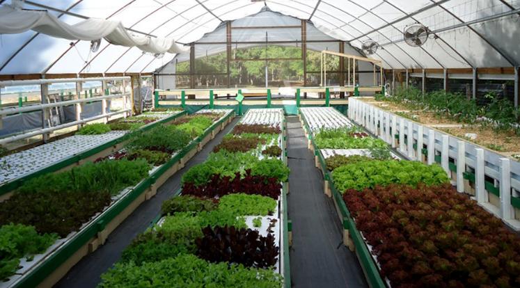 特别关注|成渝“CP”再度联手,双城科技雏鹰快乐暑假即将启航