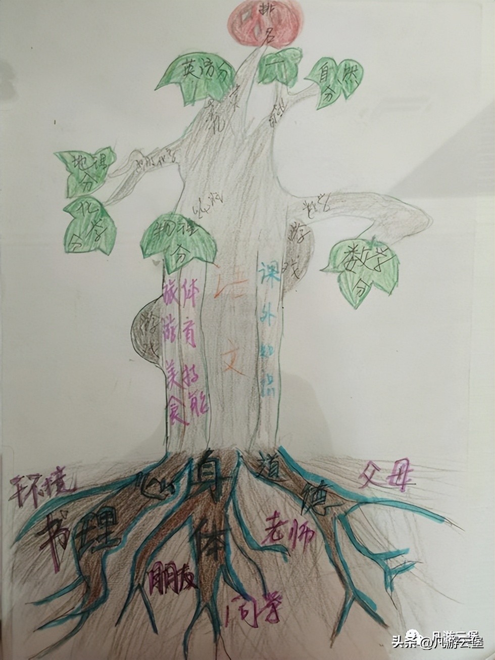 高考志愿填报家长最关心哪些问题,高考志愿填报家长应做哪些准备