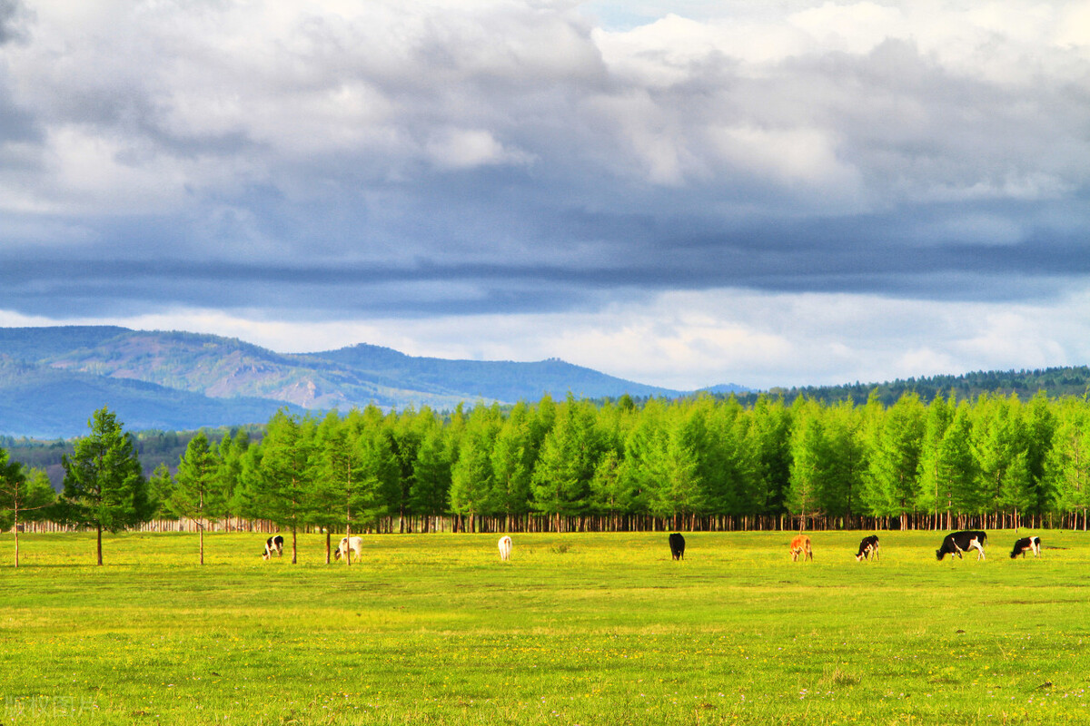 前列腺炎补脾益气清热化湿,脾胃虚弱湿热下注慢性前列腺炎