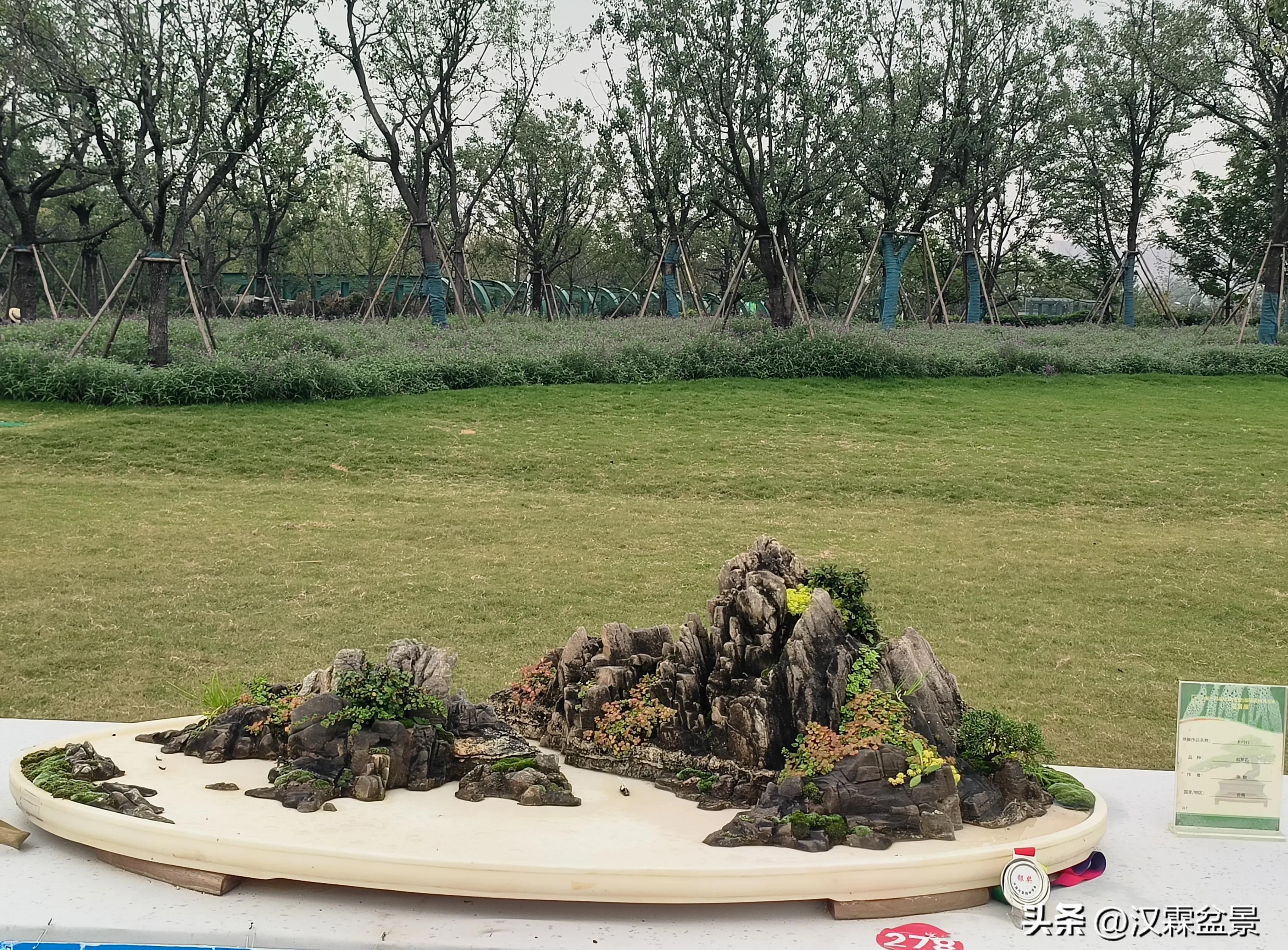 广州园林盆景展,精品大型盆景展会大全