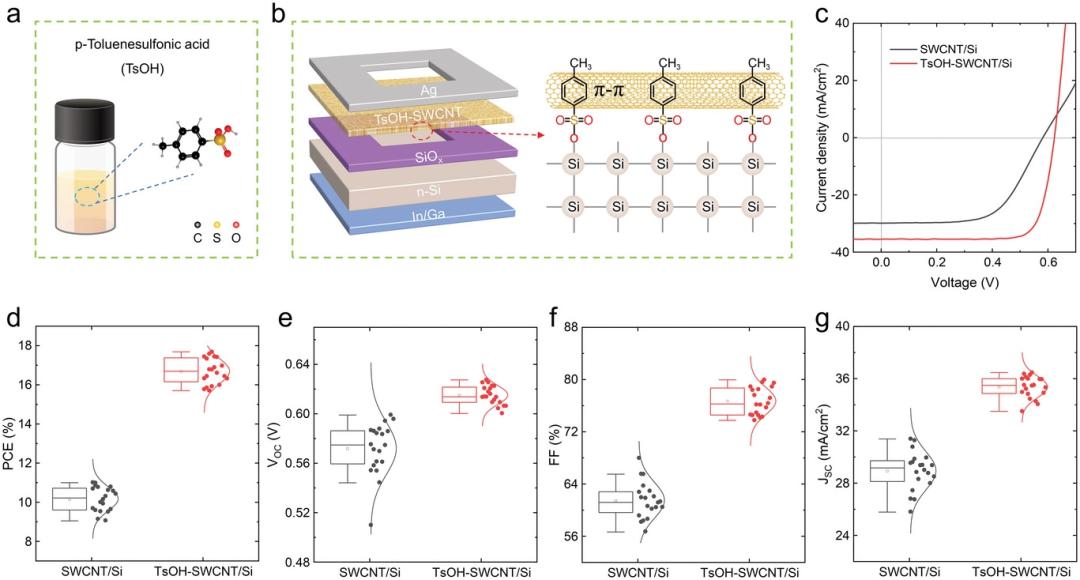 《AdvancedScience》发表常晶晶教授胡显刚博士研究成果