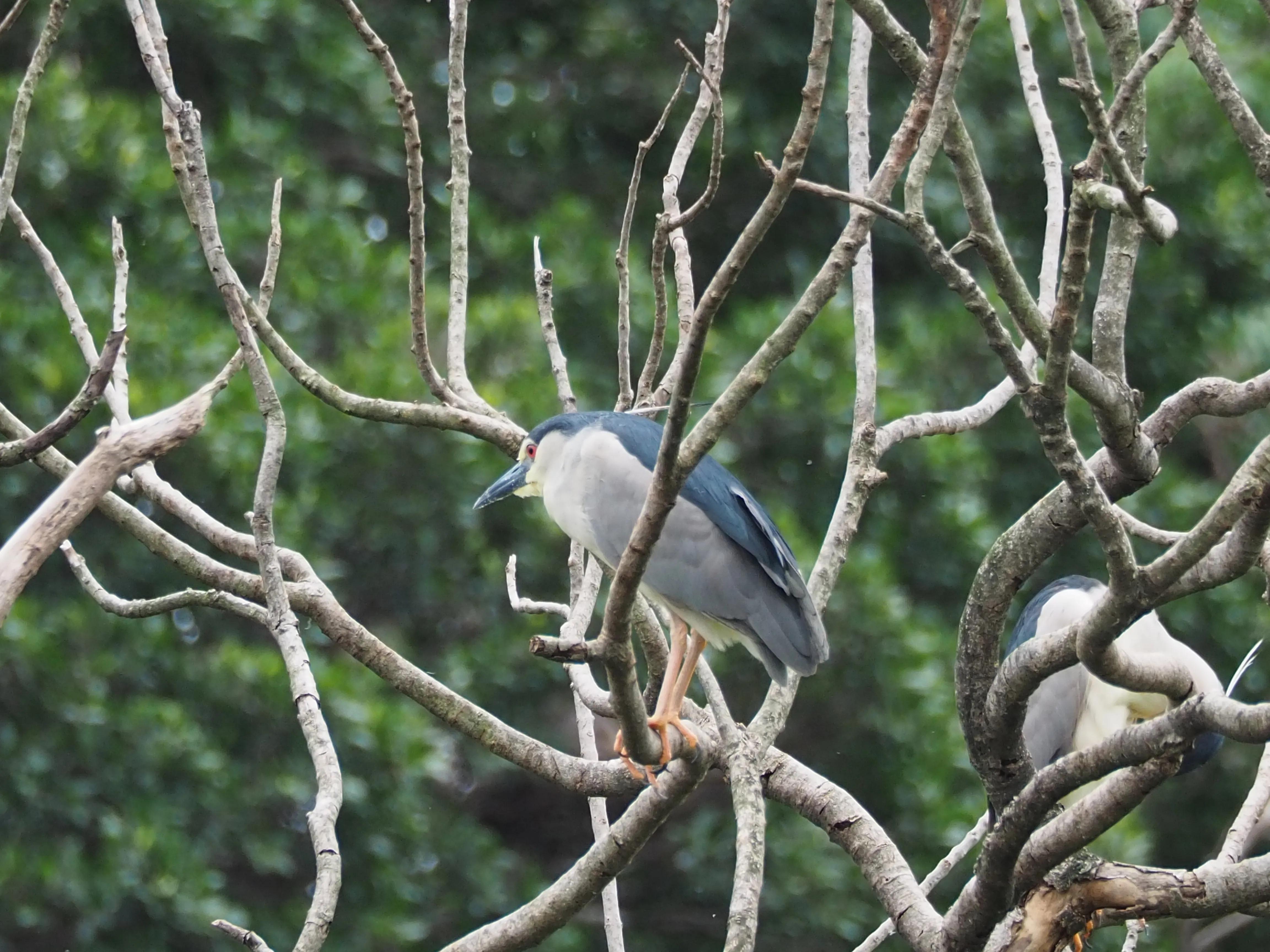 五一假期，O记实录