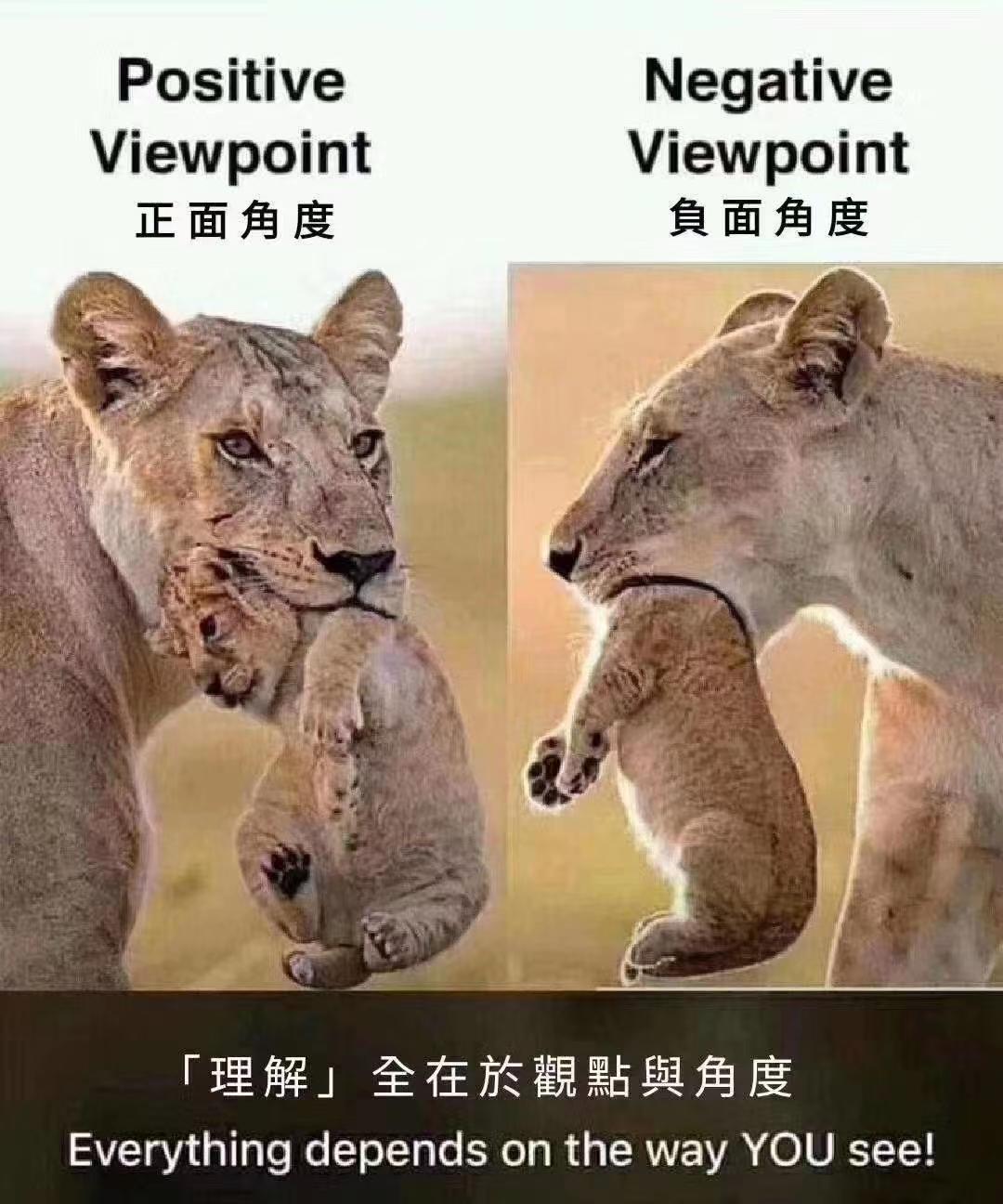 拼人气+聚财气,一位大学教授眼中的自贸港快捷打开方式