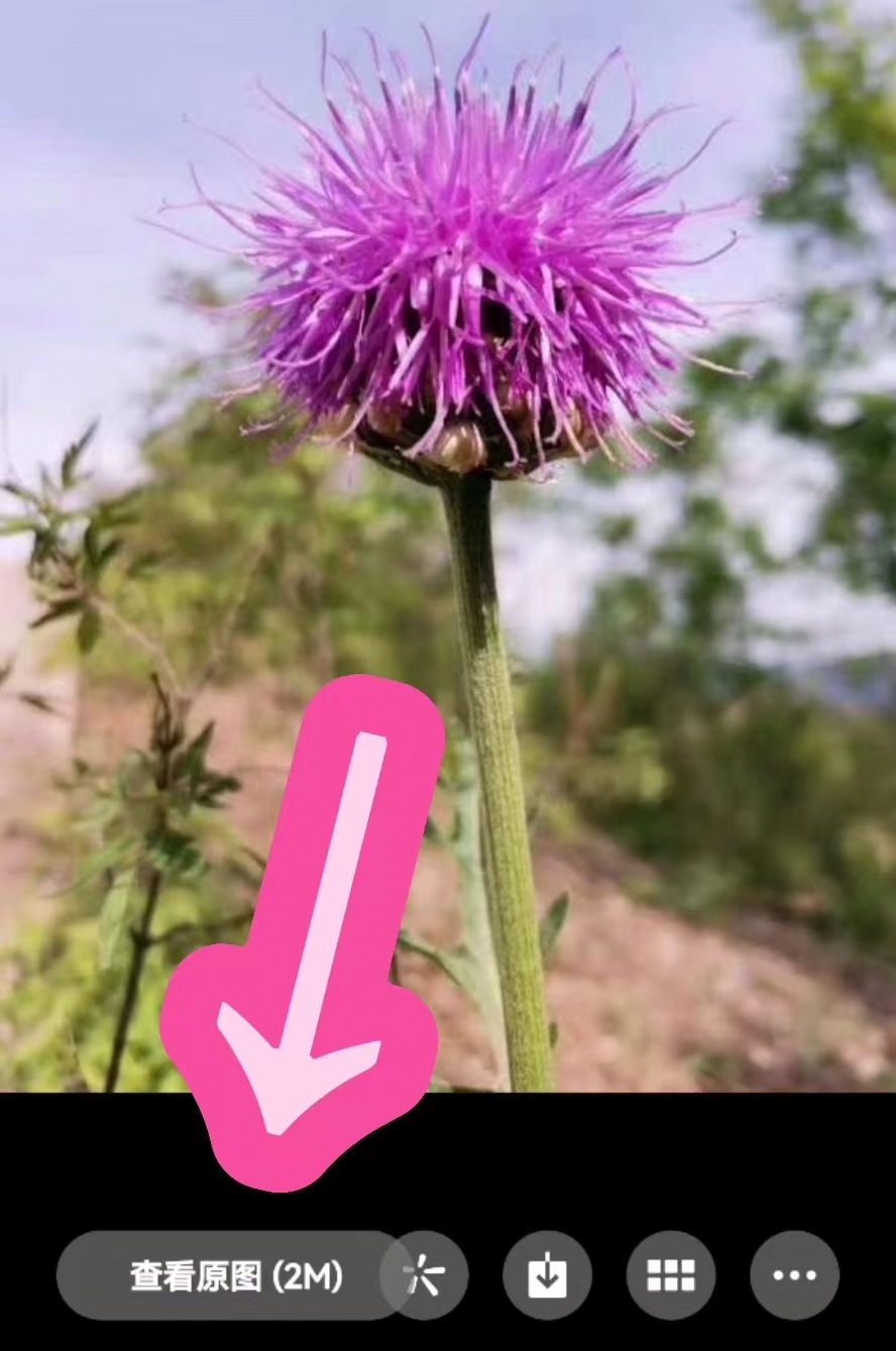 微信怎么接收原图,微信怎么接收图片