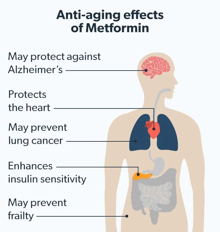 降血糖最好的二甲双胍,二甲双胍降血糖神器