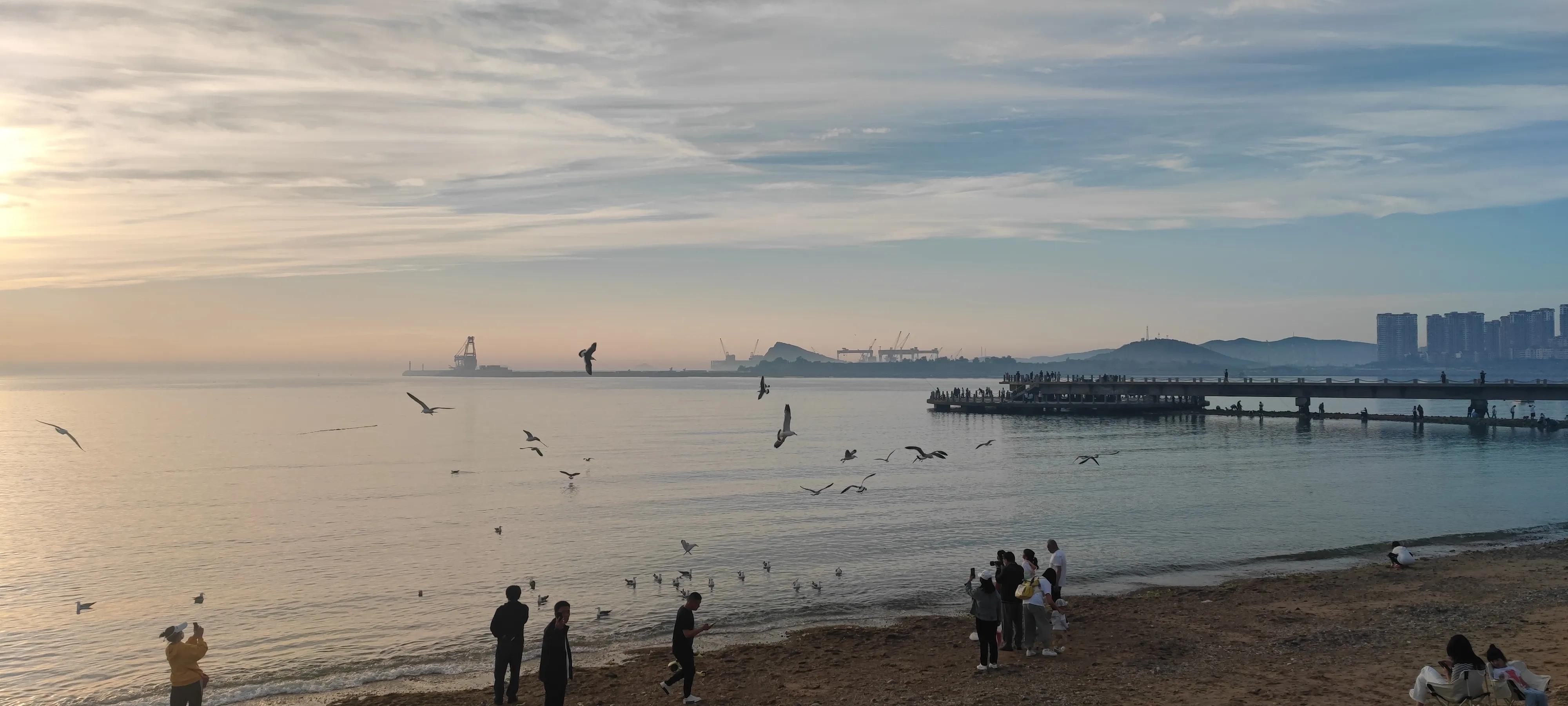 大连旅顺开发区赶海攻略,旅顺口景区赶海攻略图