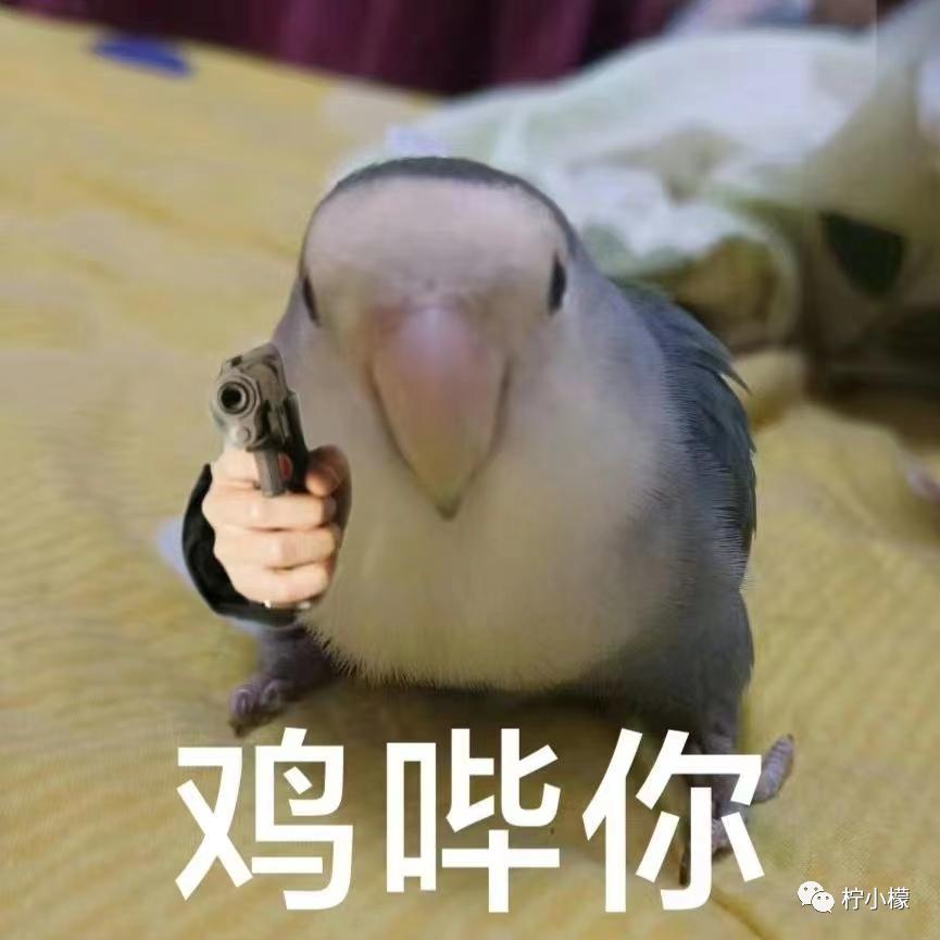 不小心把大尺度小说发给老师后...没逝的这辈子很快就过去了哈哈