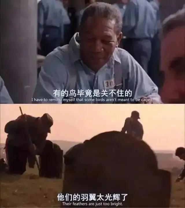 十大励志电影经典台词精选69句,英文电影片段经典励志