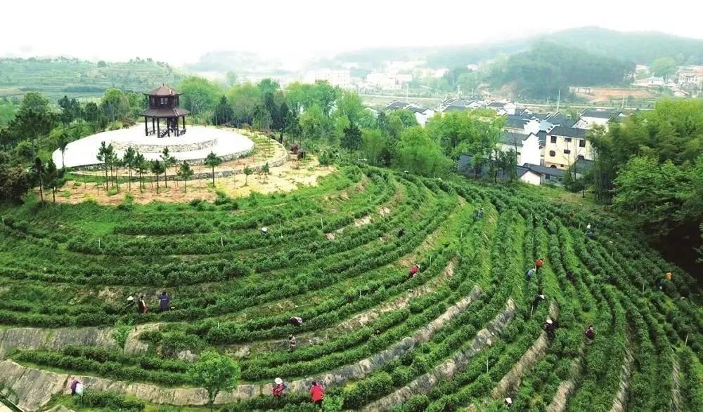 一街一品！乡村“玩”出新花样~