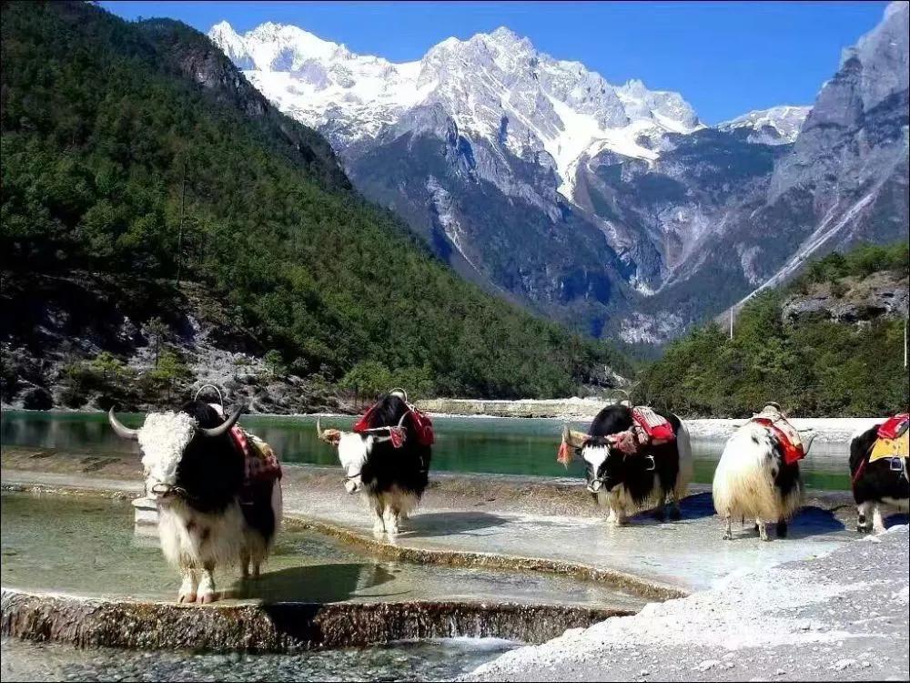 云南丽江古城图片壁纸,丽江高清壁纸