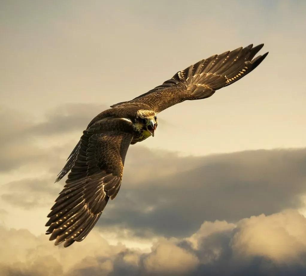 樱花树下，美女教练笑谈走出“怕风怕冷全身疼身心俱疲”的困境