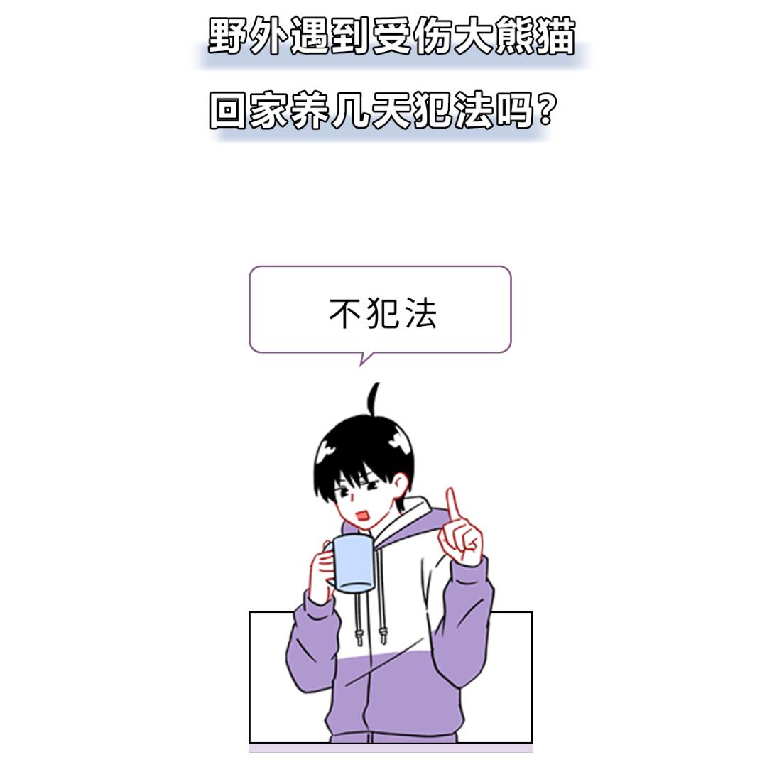 被峨眉山猴子打可以反击吗,峨眉山猴子被人类反杀