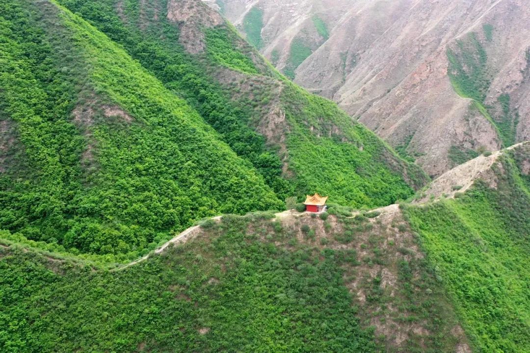 永靖旅游攻略一日游多少钱,永靖秋日一日游必去景点
