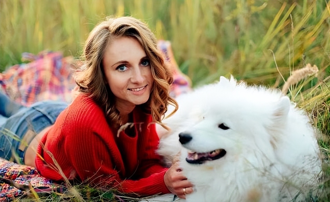 百度一下萨摩耶的优点与缺点,萨摩耶狗狗缺点优点