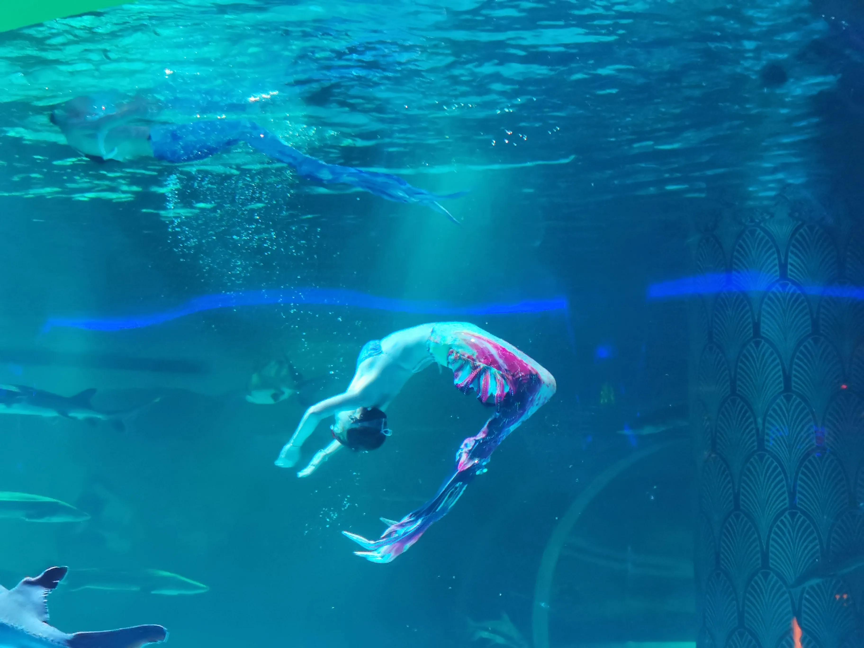 西双版纳七天六夜攻略,西双版纳五天六夜之旅完美结束