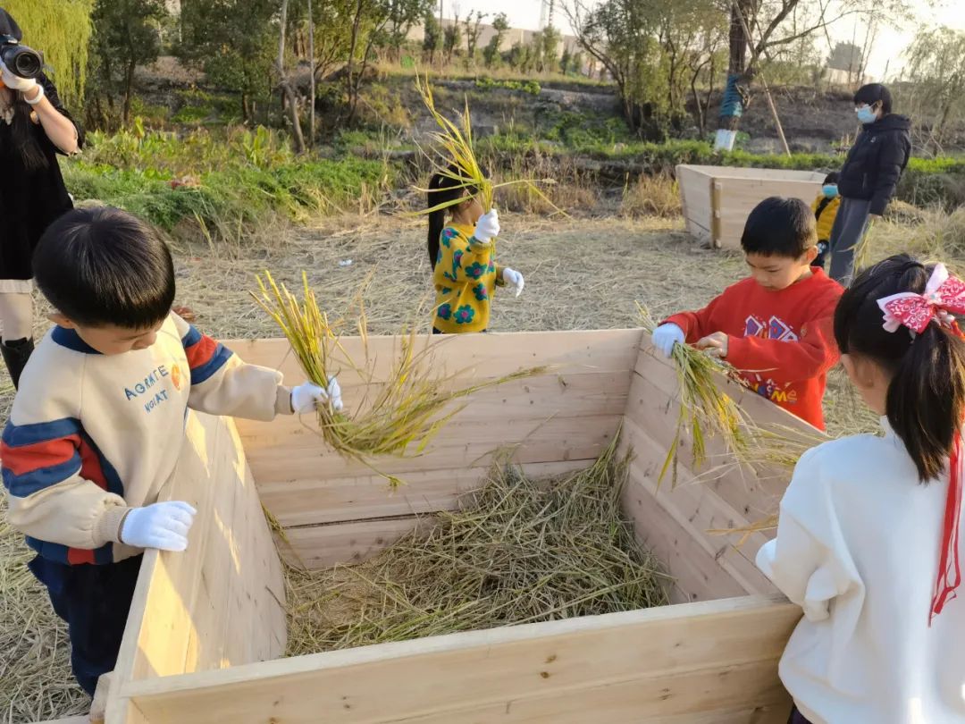 杭州临平粉黛乱子草花海地址,杭州临平30余亩粉黛花海梦幻上线