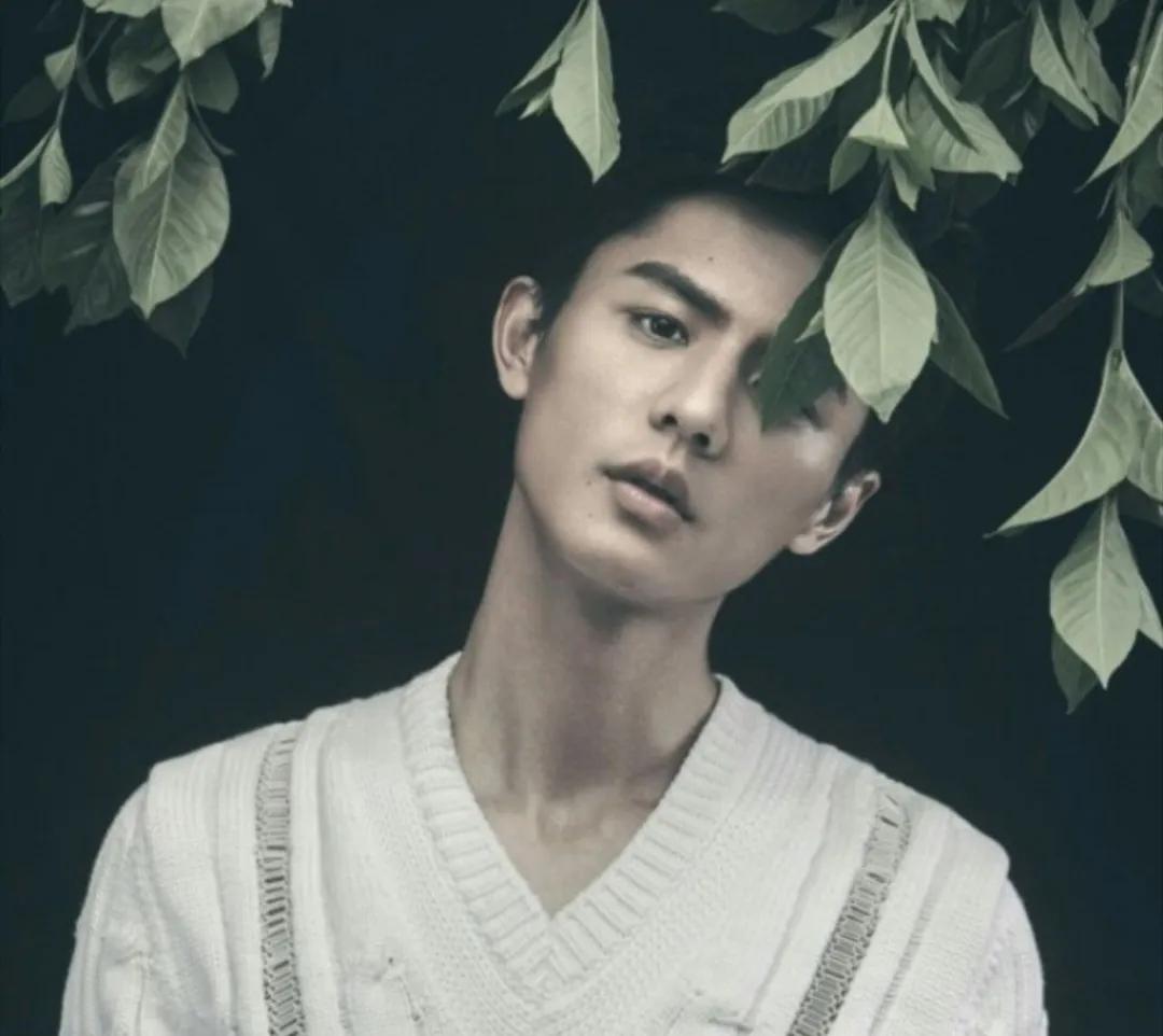 刘畅当模特的图片,刘畅模特主演的电视片段