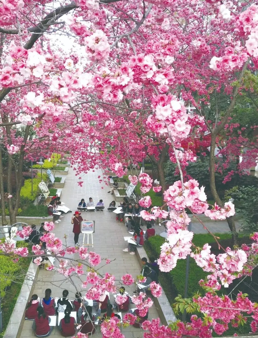 「学有榜样鉴」柳秋华：开拓创新乐奉献春华秋实慰心田