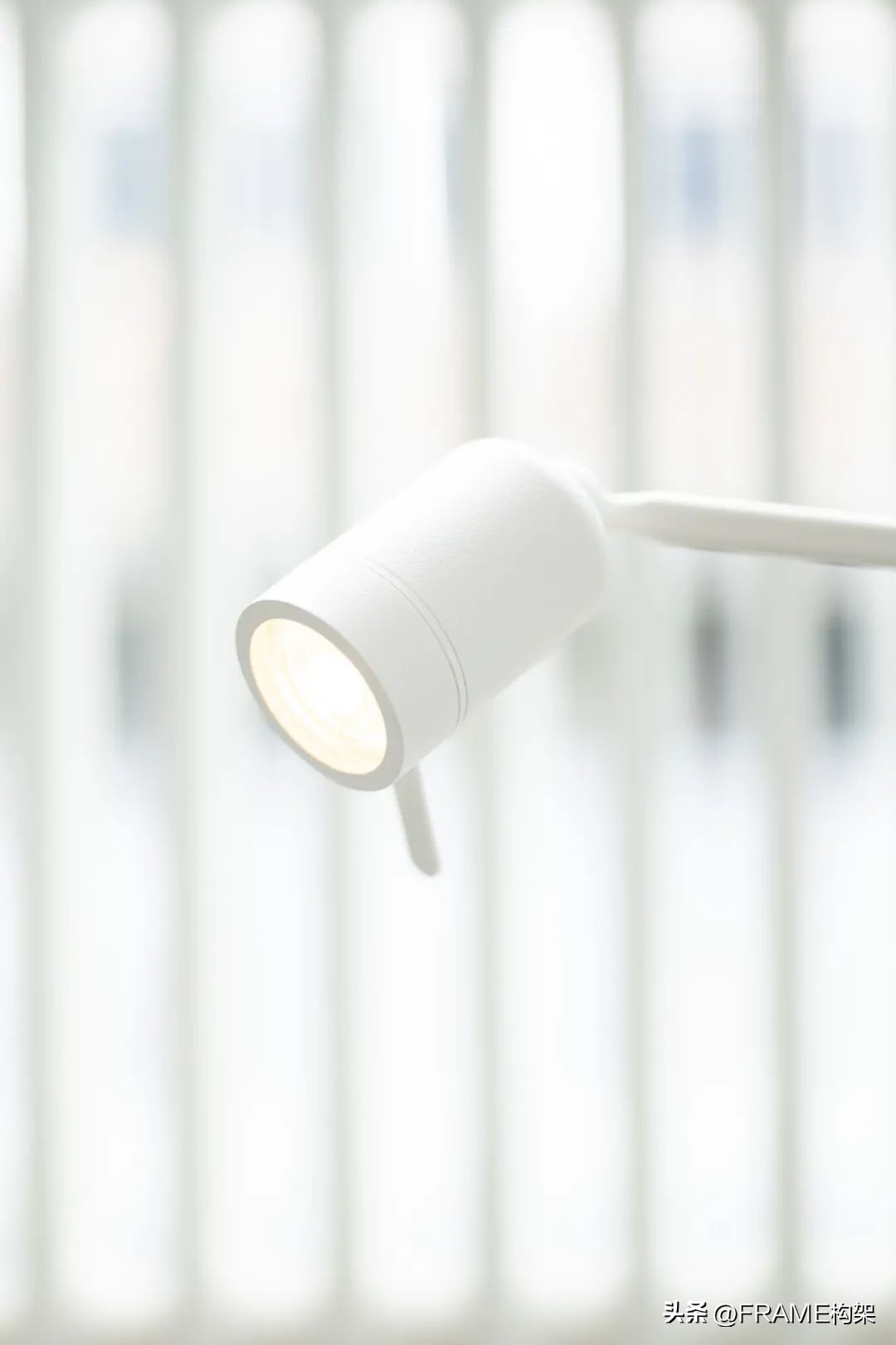 一周最受欢迎|Aesop多伦多体验店、哥伦比亚公寓、日本TreeSays