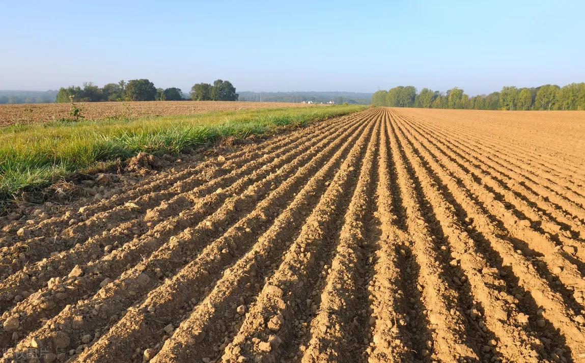 2024临时用地补偿标准是什么,当前农村的土地补偿标准