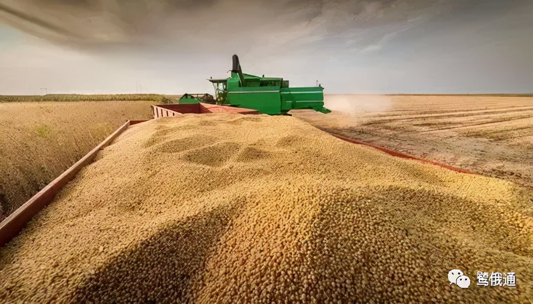 俄罗斯大豆油批发商,俄罗斯大豆需求量大的企业