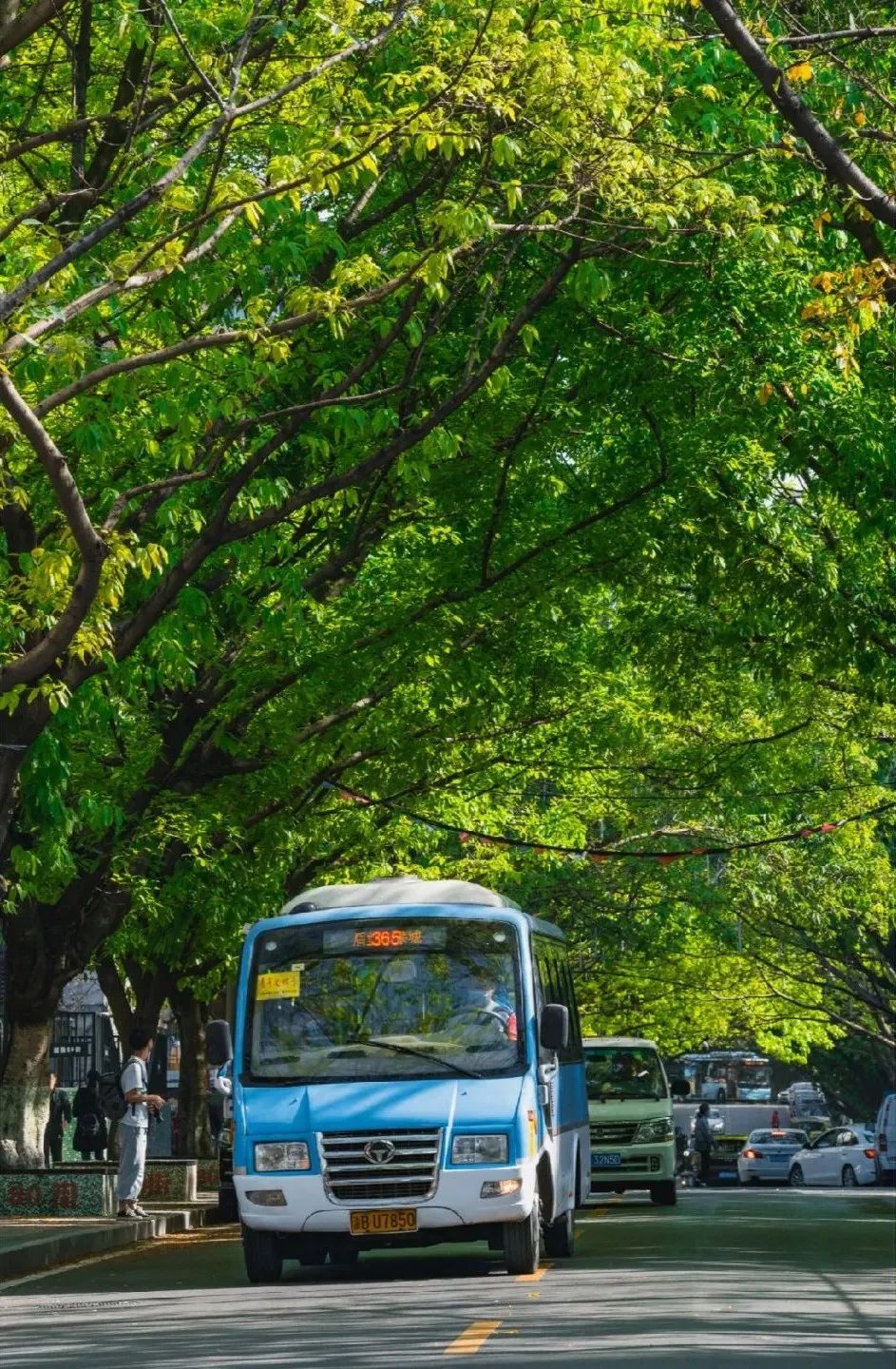 北纬52°1314，这个“为爱而生”的地方，连空气都是甜的