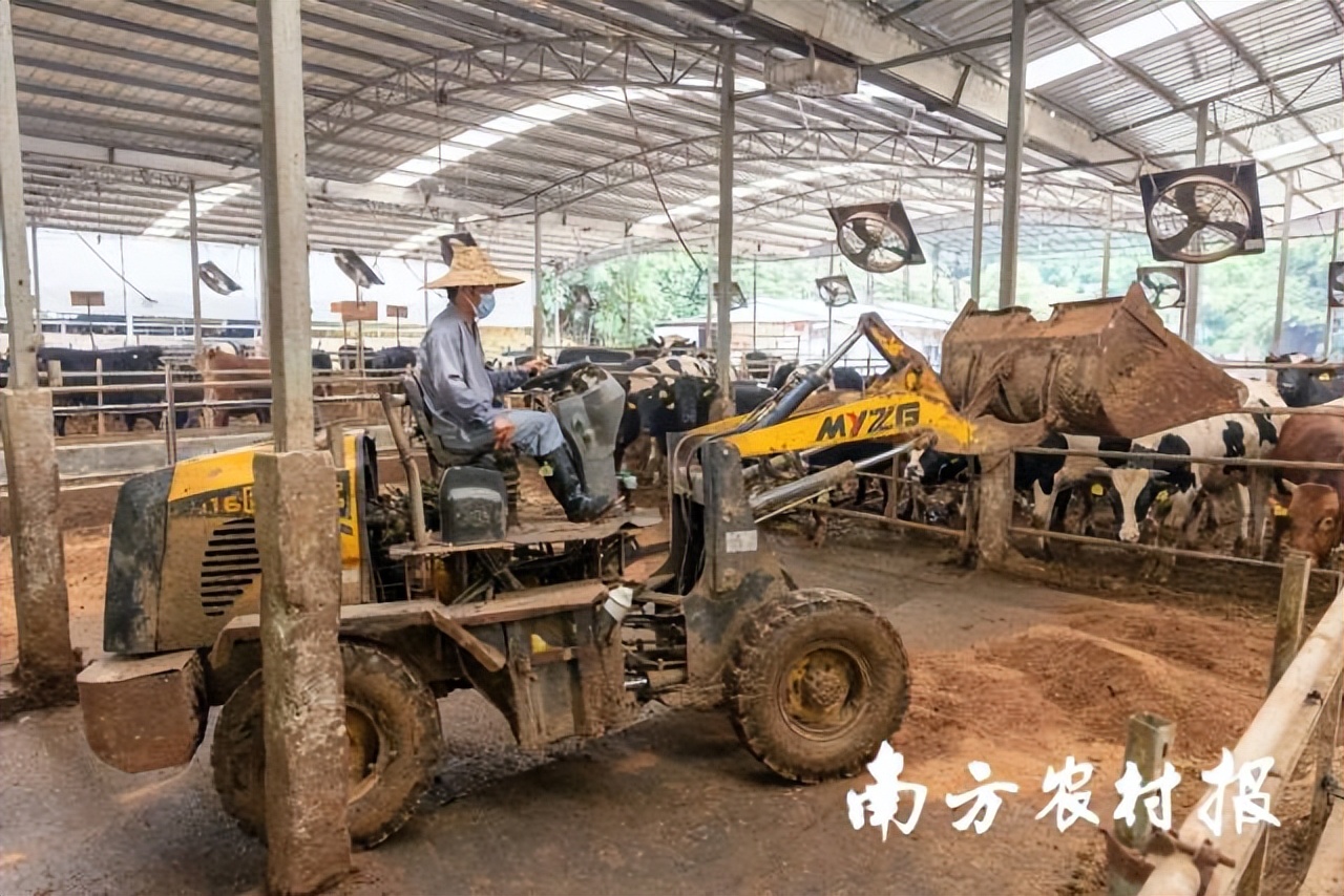 吾心归处为吾乡,吾心归处是原乡歌词