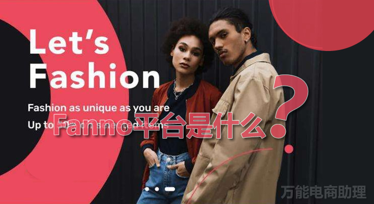 fanno跨境电商适合小白吗,fanno跨境电商平台怎样
