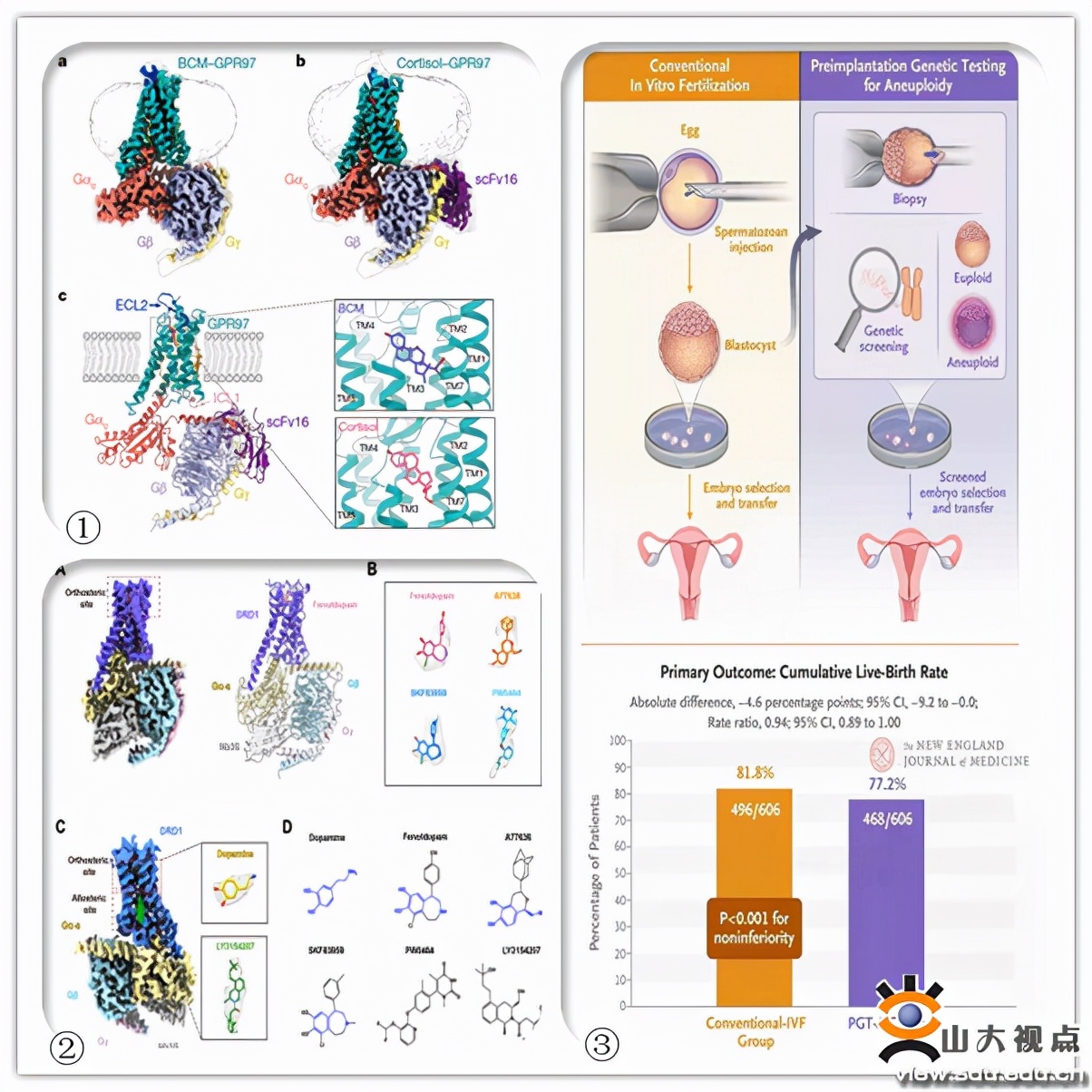 2021寒假最难忘的一件事,2016我们的n个感动瞬间