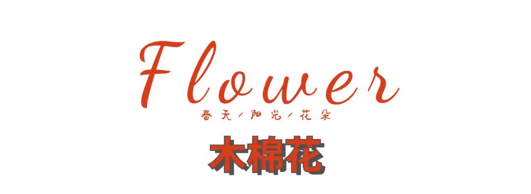 惠州拍照好看的推荐,惠州拍写真的地方推荐